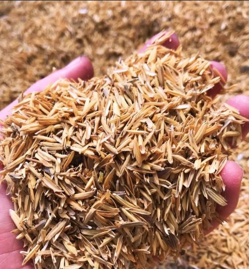 Rice Husk